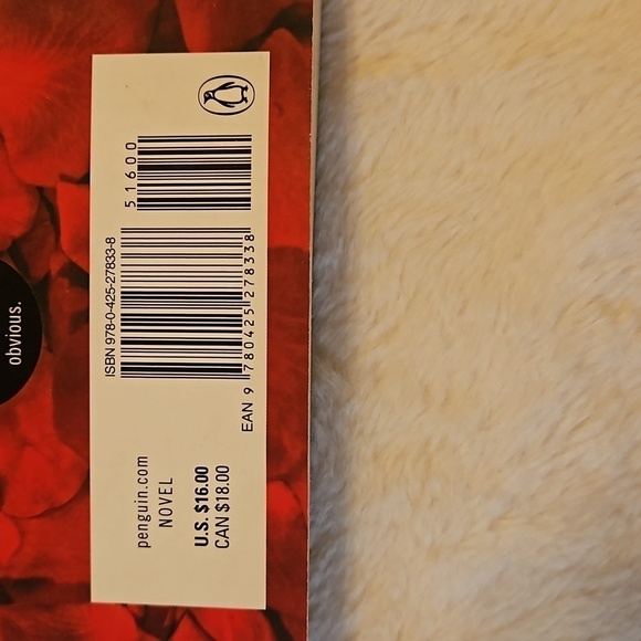 Virgin By Radhira Sanghani 2014 Home Accents Cofffe Table Books shelf decor - Picture 4 of 13